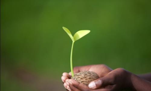 如何成為一名優(yōu)秀的CRC？分享CRC快速成長秘籍(圖1)