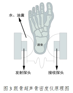超聲骨密度儀注冊技術審查指導原則(2017年第180號)(圖3) 超聲骨密度儀注冊技術審查指導原則(2017年第180號)(圖3)