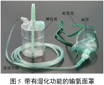 一次性使用輸氧面罩產(chǎn)品注冊(cè)審查指導(dǎo)原則(2024年第19號(hào))(圖5) 一次性使用輸氧面罩產(chǎn)品注冊(cè)審查指導(dǎo)原則(2024年第19號(hào))(圖5)