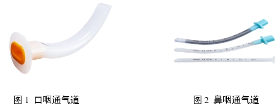 口咽/鼻咽通氣道注冊審查指導(dǎo)原則(2023年第22號)(圖1) 口咽/鼻咽通氣道注冊審查指導(dǎo)原則(2023年第22號)(圖1)