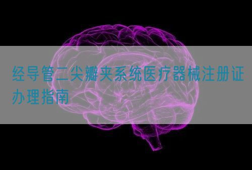 經(jīng)導管二尖瓣夾系統(tǒng)醫(yī)療器械注冊證辦理指南(圖1)