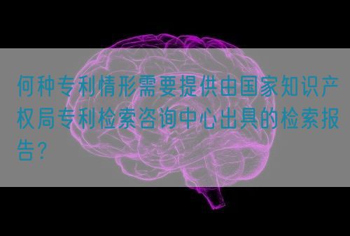 何種專利情形需要提供由國家知識產(chǎn)權(quán)局專利檢索咨詢中心出具的檢索報告？(圖1)