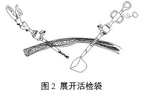 一次性使用內(nèi)窺鏡用活檢袋注冊(cè)審查指導(dǎo)原則(2025年第20號(hào))(圖2) 一次性使用內(nèi)窺鏡用活檢袋注冊(cè)審查指導(dǎo)原則(2025年第20號(hào))(圖2)