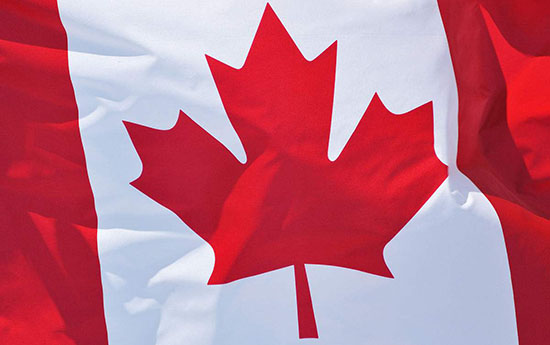 醫(yī)療器械出口歐美日韓澳加要辦什么手續(xù)？(圖4)