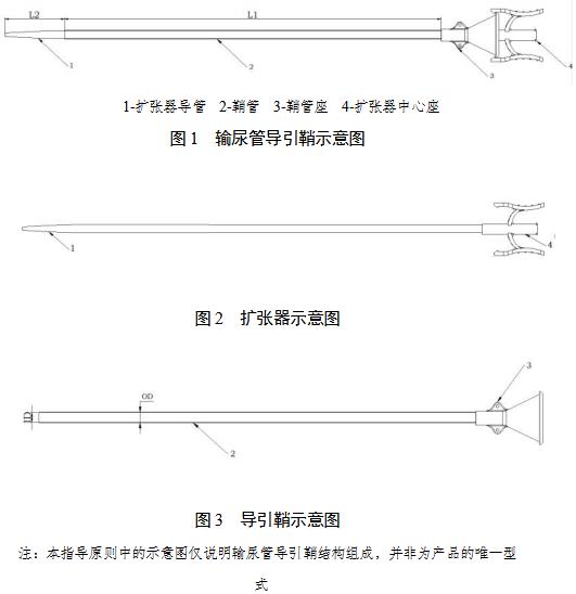 一次性使用輸尿管導引鞘注冊審查指導原則(2021年第102號)(圖2) 一次性使用輸尿管導引鞘注冊審查指導原則(2021年第102號)(圖2)