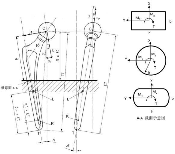 生物型股骨柄柄部疲勞性能評價(jià)指導(dǎo)原則（2020年第62號）(圖3)