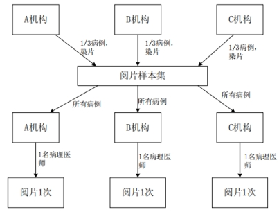 PD-L1檢測試劑臨床試驗—結(jié)果重現(xiàn)性研究注冊審查指導原則(2022年第27號)(圖5) PD-L1檢測試劑臨床試驗—結(jié)果重現(xiàn)性研究注冊審查指導原則(2022年第27號)(圖5)